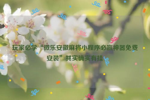 玩家必学“微乐安徽麻将小程序必赢神器免费安装”其实确实有挂