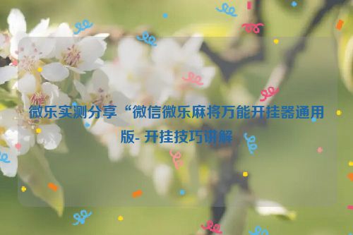微乐实测分享“微信微乐麻将万能开挂器通用版- 开挂技巧讲解