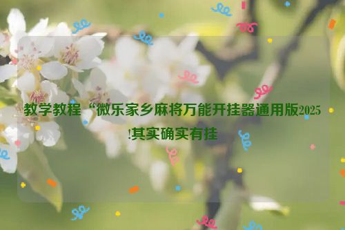 教学教程“微乐家乡麻将万能开挂器通用版2025!其实确实有挂