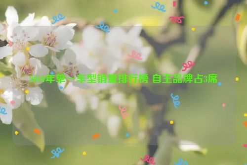 2010年单一车型销量排行榜 自主品牌占3席