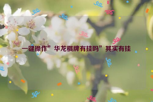 一键操作”华龙棋牌有挂吗”其实有挂