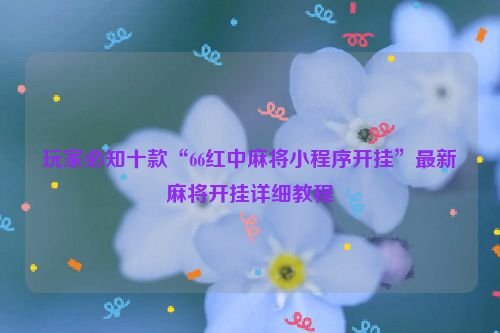 玩家必知十款“66红中麻将小程序开挂”最新麻将开挂详细教程