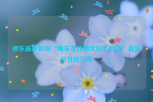 微乐最新教你“博乐龙江填大坑手机挂”真实开挂技巧赢