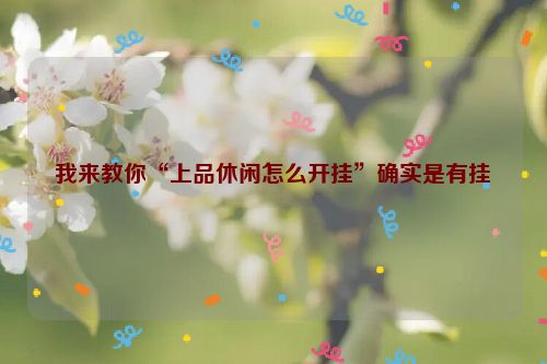 我来教你“上品休闲怎么开挂”确实是有挂