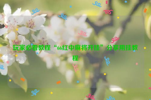 玩家必看教程“66红中麻将开挂”分享用挂教程