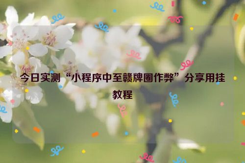 今日实测“小程序中至赣牌圈作弊”分享用挂教程