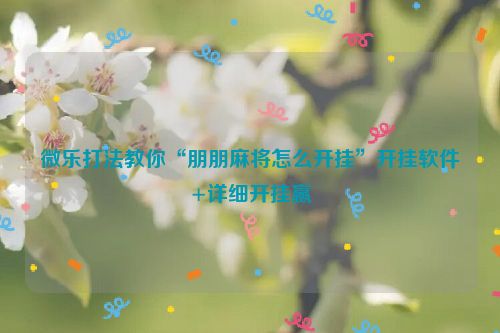 微乐打法教你“朋朋麻将怎么开挂”开挂软件+详细开挂赢