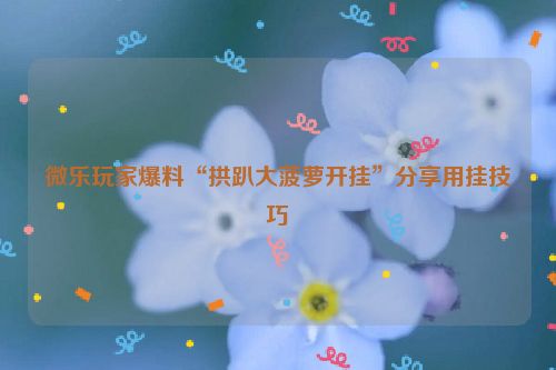 微乐玩家爆料“拱趴大菠萝开挂”分享用挂技巧