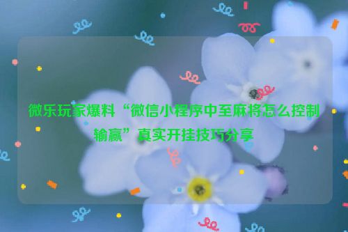 微乐玩家爆料“微信小程序中至麻将怎么控制输赢”真实开挂技巧分享