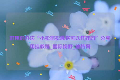 好用的办法“小松宿松麻将可以开挂吗”分享用挂教程_国际视野_迪特网