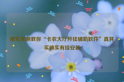 微乐实测教你“卡农大厅开挂辅助软件”真其实确实有挂安装