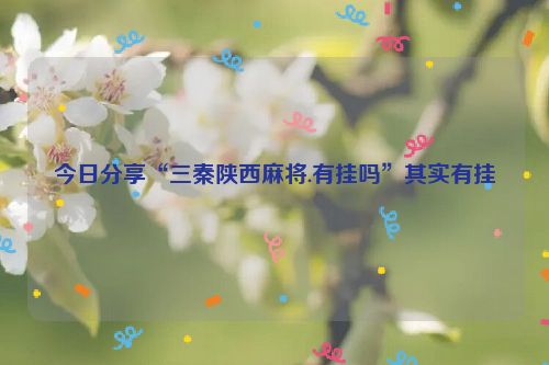 今日分享“三秦陕西麻将.有挂吗”其实有挂
