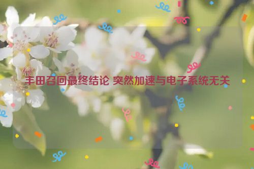 丰田召回最终结论 突然加速与电子系统无关