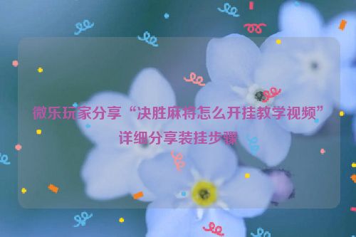 微乐玩家分享“决胜麻将怎么开挂教学视频”详细分享装挂步骤