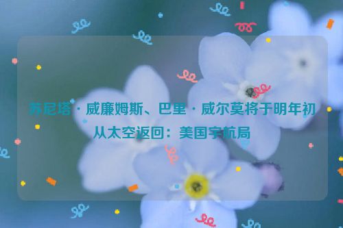 苏尼塔·威廉姆斯、巴里·威尔莫将于明年初从太空返回：美国宇航局