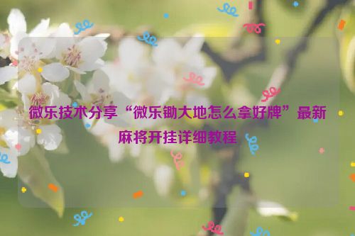 微乐技术分享“微乐锄大地怎么拿好牌”最新麻将开挂详细教程