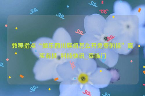 教程指点“微乐四川麻将怎么开免费的挂”真实有挂_科技快讯_喜临门