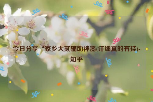 今日分享“家乡大贰辅助神器(详细真的有挂)-知乎