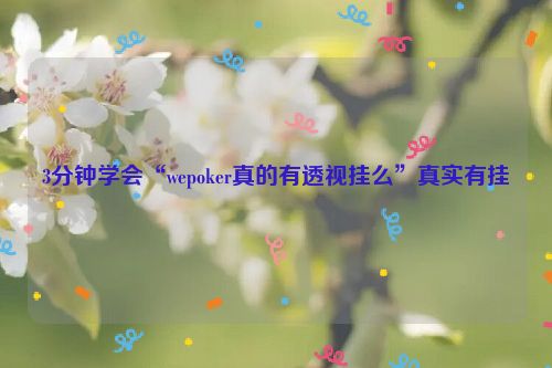 3分钟学会“wepoker真的有透视挂么”真实有挂