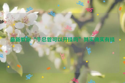 最新教你“牛总管可以开挂吗”其实确实有挂