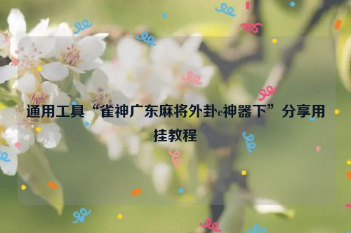通用工具“雀神广东麻将外卦c神器下”分享用挂教程