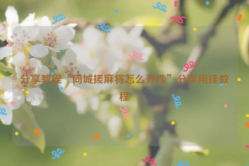 分享教程“同城搓麻将怎么开挂”分享用挂教程