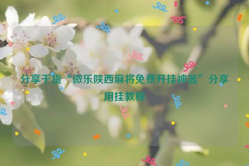 分享干货“微乐陕西麻将免费开挂神器”分享用挂教程