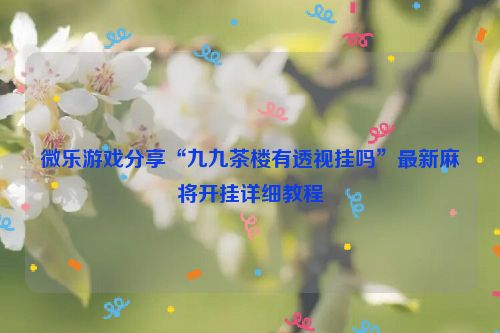 微乐游戏分享“九九茶楼有透视挂吗”最新麻将开挂详细教程