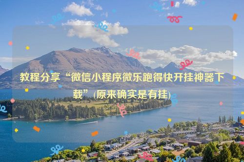 教程分享“微信小程序微乐跑得快开挂神器下载”(原来确实是有挂)