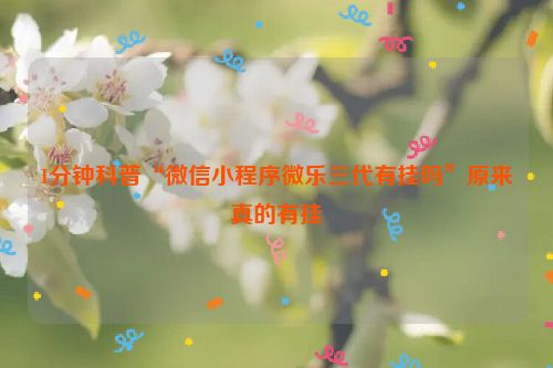 1分钟科普“微信小程序微乐三代有挂吗”原来真的有挂
