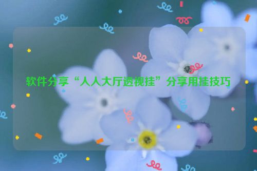 软件分享“人人大厅透视挂”分享用挂技巧