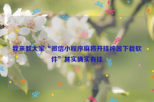 我来教大家“微信小程序麻将开挂神器下载软件”其实确实有挂