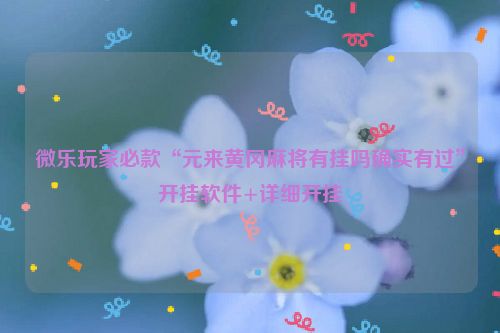微乐玩家必款“元来黄冈麻将有挂吗确实有过”开挂软件+详细开挂