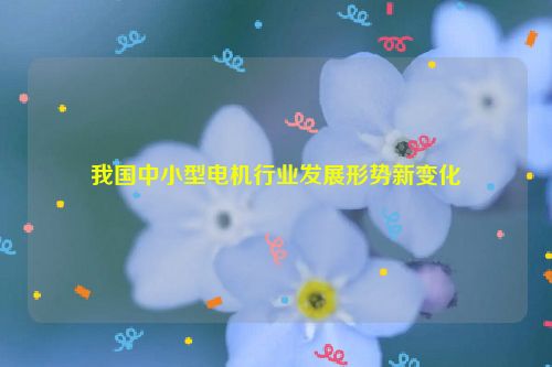 我国中小型电机行业发展形势新变化