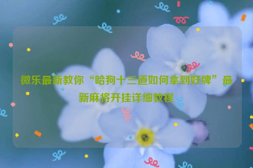 微乐最新教你“哈狗十三道如何拿到好牌”最新麻将开挂详细教程