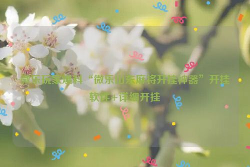 微乐玩家爆料“微乐山东麻将开挂神器”开挂软件+详细开挂