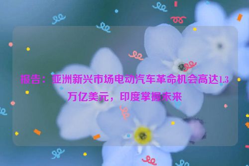 报告：亚洲新兴市场电动汽车革命机会高达1.3万亿美元，印度掌握未来