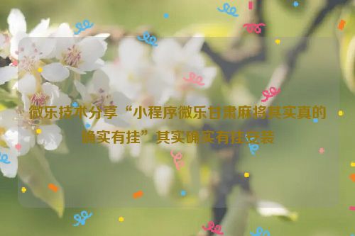微乐技术分享“小程序微乐甘肃麻将其实真的确实有挂”其实确实有挂安装