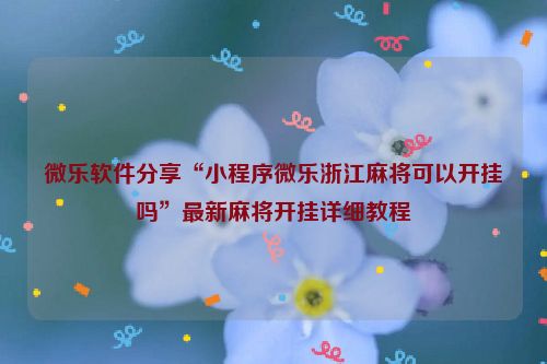 微乐软件分享“小程序微乐浙江麻将可以开挂吗”最新麻将开挂详细教程