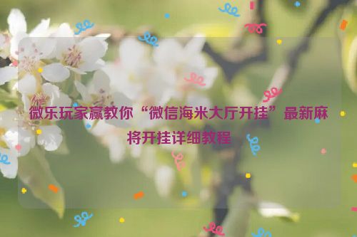 微乐玩家赢教你“微信海米大厅开挂”最新麻将开挂详细教程