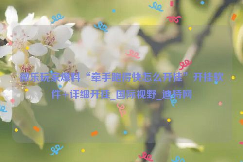 微乐玩家爆料“牵手跑得快怎么开挂”开挂软件+详细开挂_国际视野_迪特网