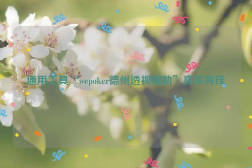 通用工具“wepoker德州透视辅助”真实有挂