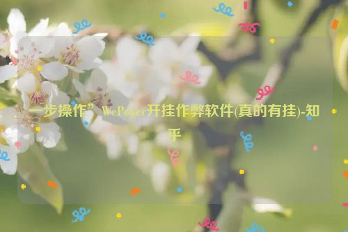 一步操作”WePoker开挂作弊软件(真的有挂)-知乎