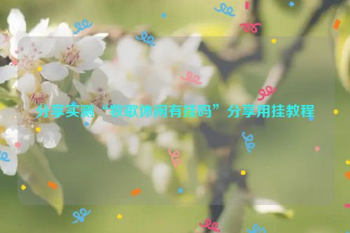 分享实测“牧歌休闲有挂吗”分享用挂教程