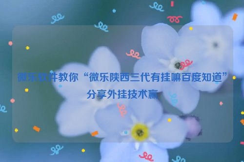 微乐软件教你“微乐陕西三代有挂嘛百度知道”分享外挂技术赢