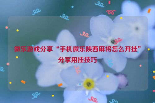 微乐游戏分享“手机微乐陕西麻将怎么开挂”分享用挂技巧