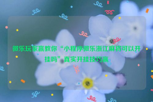 微乐玩家赢教你“小程序微乐浙江麻将可以开挂吗”真实开挂技巧赢