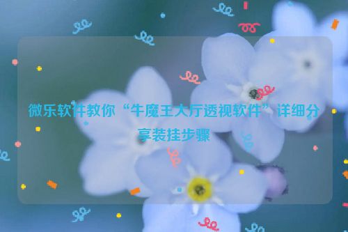 微乐软件教你“牛魔王大厅透视软件”详细分享装挂步骤