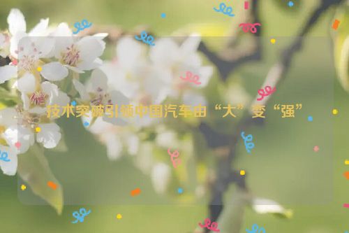 技术突破引领中国汽车由“大”变“强”