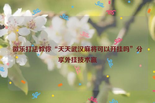 微乐打法教你“天天武汉麻将可以开挂吗”分享外挂技术赢